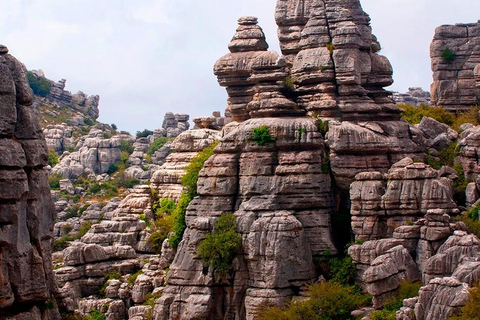 Von Malaga aus: Caminito del Rey &amp; Antequera: Dolmen, Alcazaba und freie ZeitCaminito del Rey und Antequera mit geführter Besichtigung der Alcazaba ab Malaga Zentrum