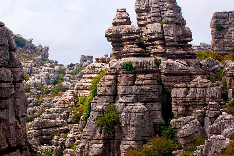 Von Malaga aus: Caminito del Rey &amp; Antequera: Dolmen, Alcazaba und freie ZeitCaminito del Rey und Antequera mit geführter Besichtigung der Alcazaba ab Malaga Zentrum