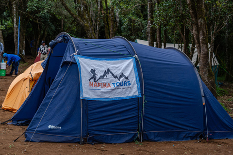 Kilimanjaro: Caminhada de 6 dias na Rota Machame com transfer do aeroporto