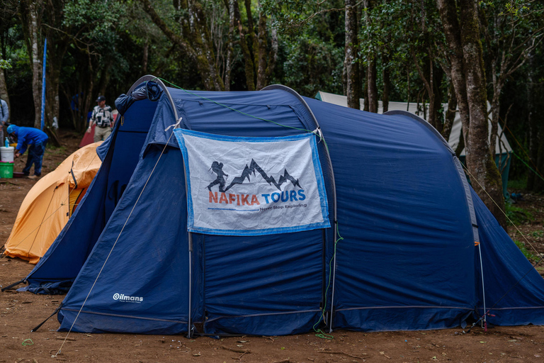 Kilimanjaro: Caminhada de 6 dias na Rota Machame com transfer do aeroporto