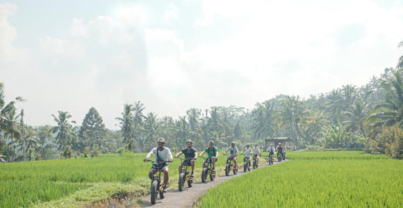Ubud: 4-Hour Rice Terraces & Villages Fat-Tire E-Bike Tour