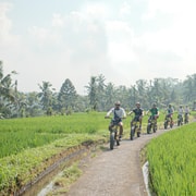 Ubud: Rice Terraces & Villages Half-Day Fat Tire E-Bike Tour Ubud: Rice Terraces & Villages Half-Day Fat Tire E-Bike Tour