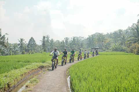 Ubud: Rice Terraces & Villages Half-Day Fat Tire E-Bike Tour - Image 3