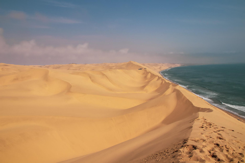 Walvis Bay: Comprehensive Sandwich Harbour 4x4 Tour
