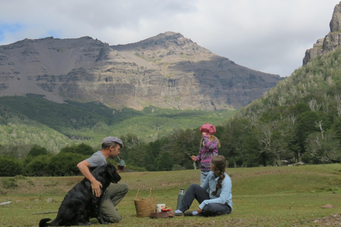 San Martín de los Andes: Half-Day Tour to the Mallin Grande