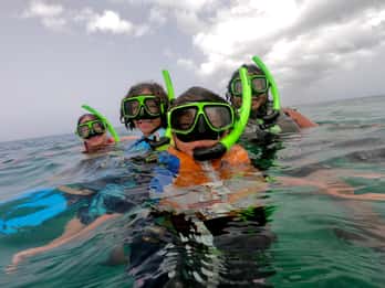 Vieques: Shared Snorkeling Experience with Salty Spirit