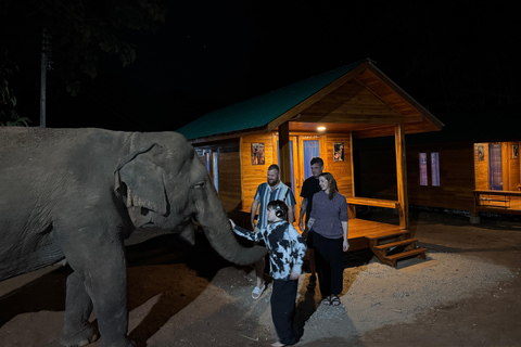 Chiang Mai 2-Day: Good Morning Elephant & Overnight Homestay