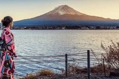 Tokyo: Private Mt. Fuji Luxury Day Tour – Fully Customizable Luxury Land Cruise Customizable Tour