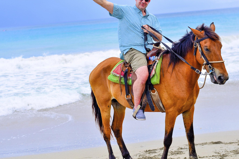 Descobre os trilhos de Punta Cana num passeio a cavalo