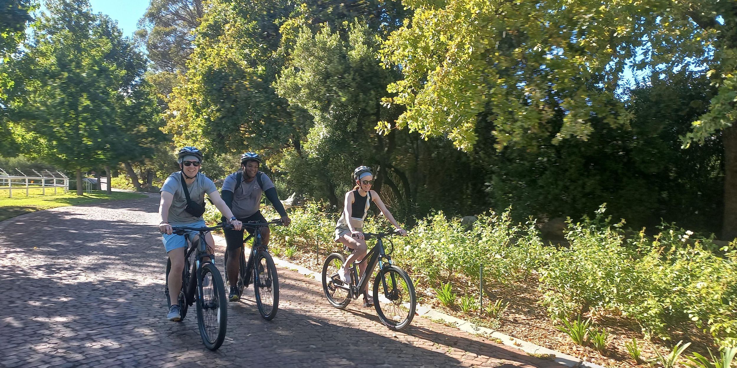Franschhoek E-Bike & Wein Tour