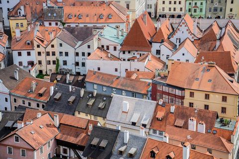 Rondleiding door de Oude en Nieuwe Stad van Praag en boottochtPrijs groepsreis