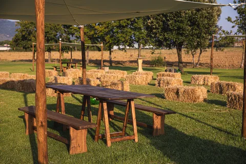 Tenute di Fraternita-Wine tasting in the Aretine countryside