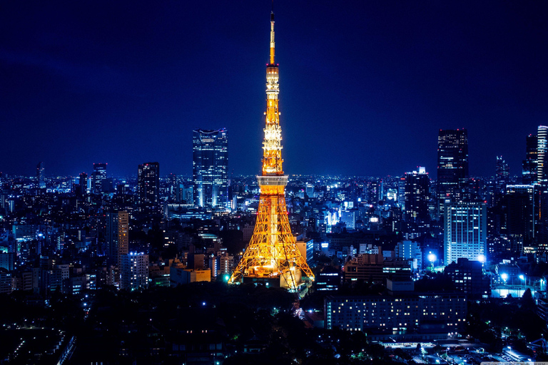 Ganztagestour Tokio Customize Unforgettable Private Tour