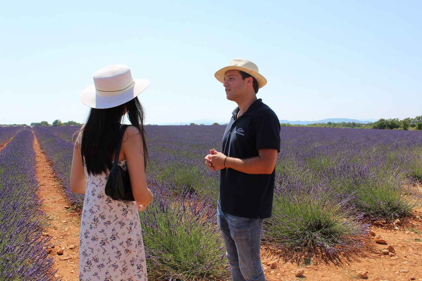 Desde Aix-en-Provence: Tour de Medio Día de Lavanda