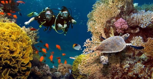Nha Trang Scuba Diving & Coral Bay Escape