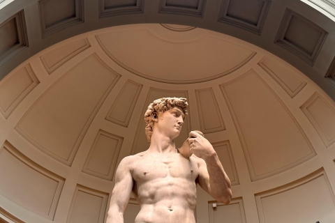 Florence: Michelangelo's David Guided Tour Tour in English