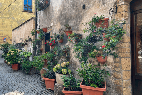 Rome: Assisi, Civita di Bagnoregio and Orvieto Day Tour