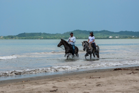 Cartagena: Jazda konna na plaży i kolumbijska kultura koni