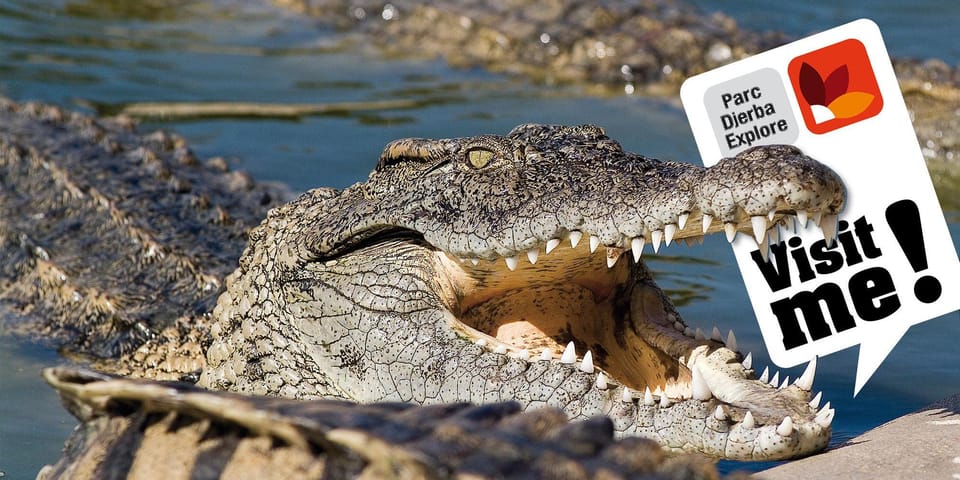 A Nile crocodile with open jaws among other crocodiles in the water, beside a speech-bubble sign reading Visit me