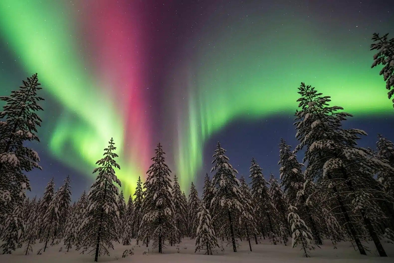 Rovaniemi: Northern Lights Hunt with Free Second Tour