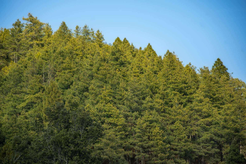 Katmandú: excursión de un día a Chitlang, cata de vinos y breve caminataÚnete (grupo de 2 o más personas)