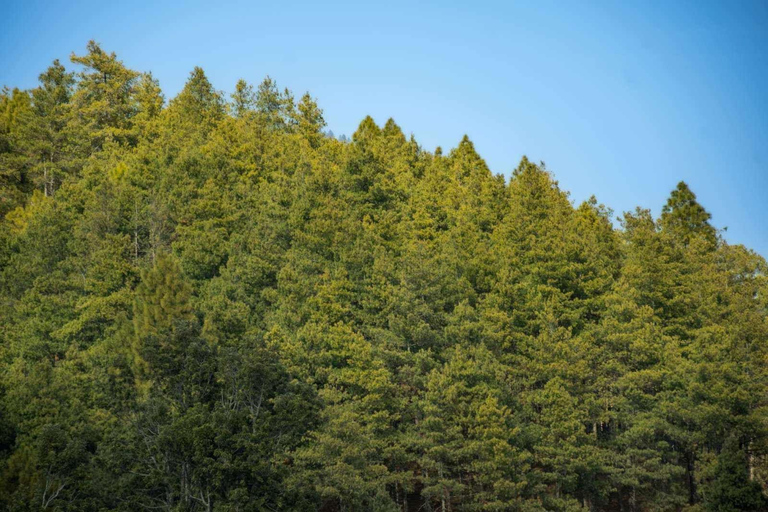 Katmandú: excursión de un día a Chitlang, cata de vinos y breve caminataÚnete (grupo de 2 o más personas)