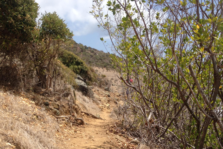 St. Maarten: Guana Bay Coastal Hike