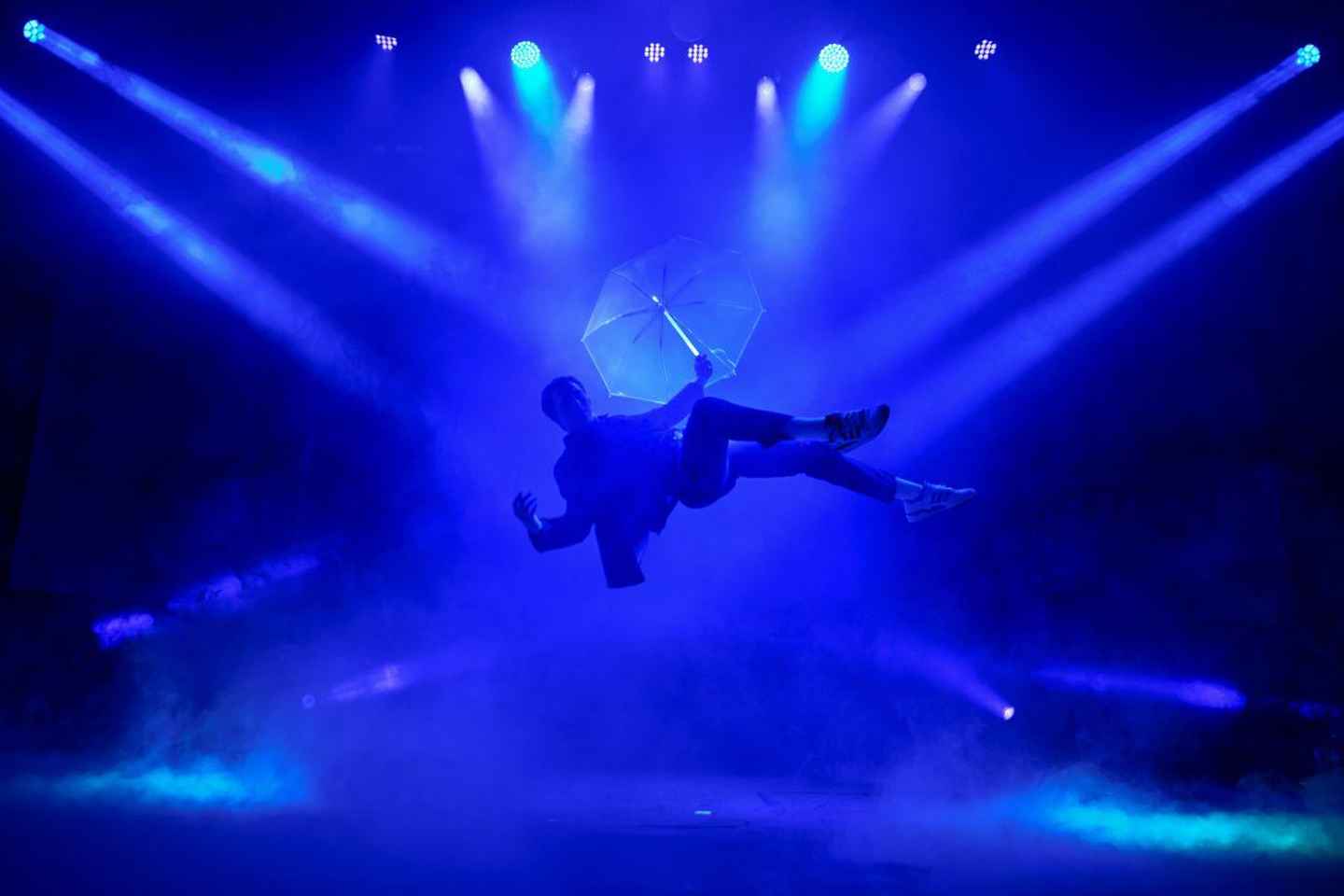 Berlin: "Flying Lights" - incl. Flying Steps – Variety Show