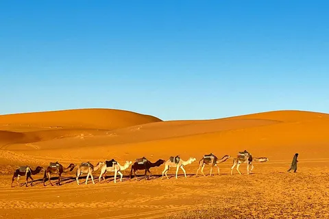 Da Fes: Tour di Merzouga di 3 giorni con giro in cammello e campeggio di lusso