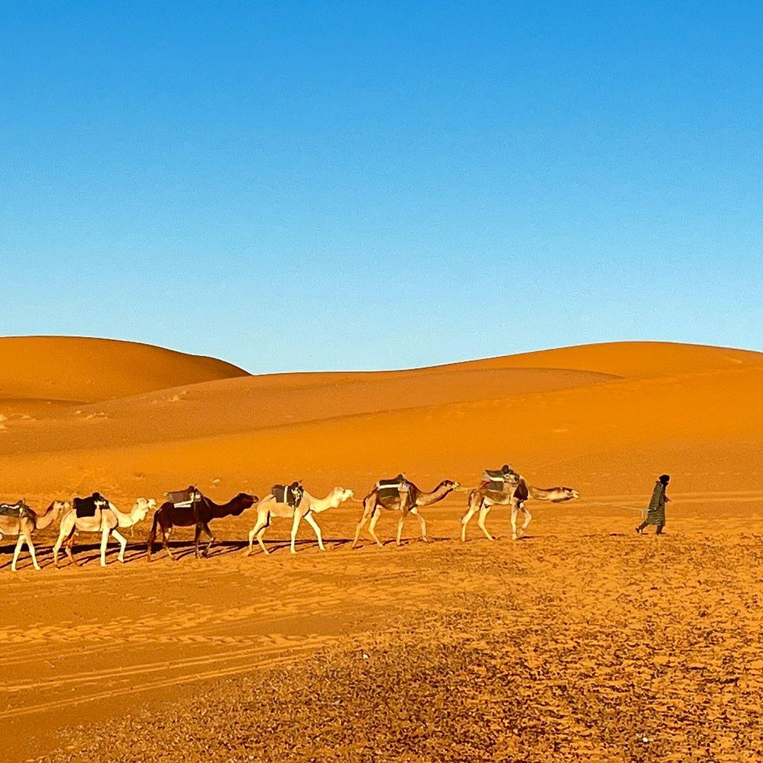 Depuis Fès : Merzouga en 3 jours avec chameau, quad et camp de luxe