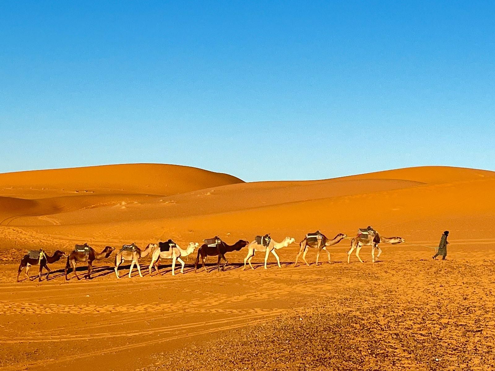 Ab Fes: 3-Tages-Tour nach Merzouga mit Kamel, Quad & Luxus-Camp