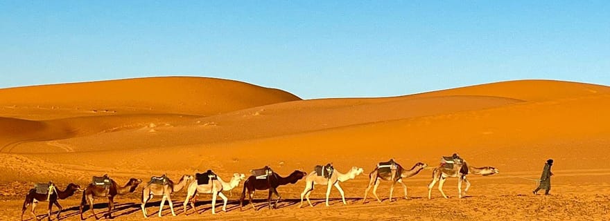 Depuis Fès : Merzouga en 3 jours avec chameau, quad et camp de luxe