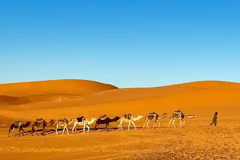 Da Fes: Tour di Merzouga di 3 giorni con giro in cammello e campeggio di lusso