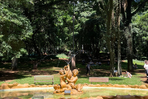 São Paulo: Surviving in Portuguese & Local Tips