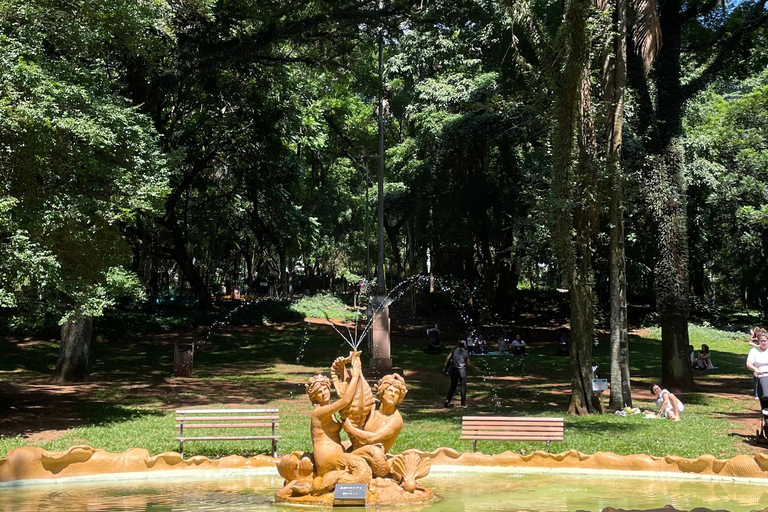 São Paulo: Surviving in Portuguese & Local Tips