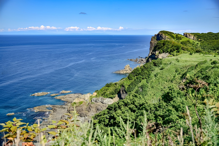 Romantic Day Trip Departing from Otaru, Hokkaido Meet at Exit 31 of Odori Park Subway Station at 8:00 a.m.