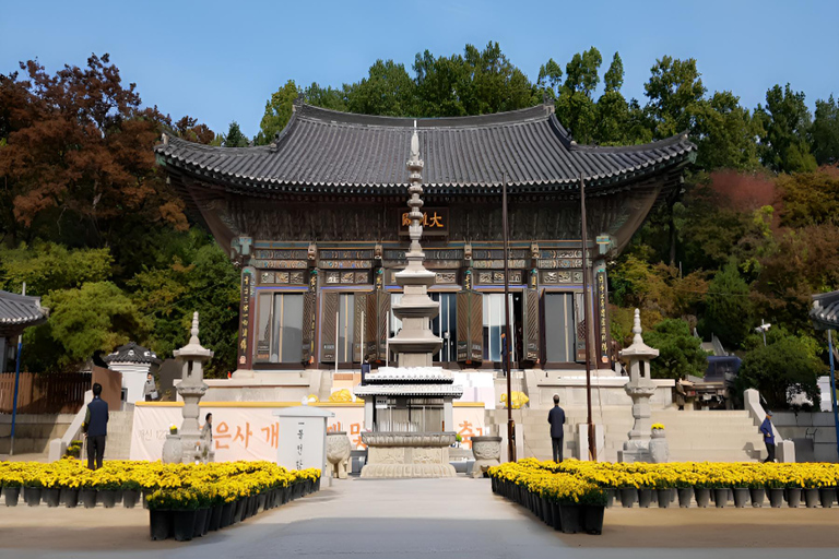 Seoul: Gangnam Time Travel, Royal Tombs to Starfield Library Chinese Guide