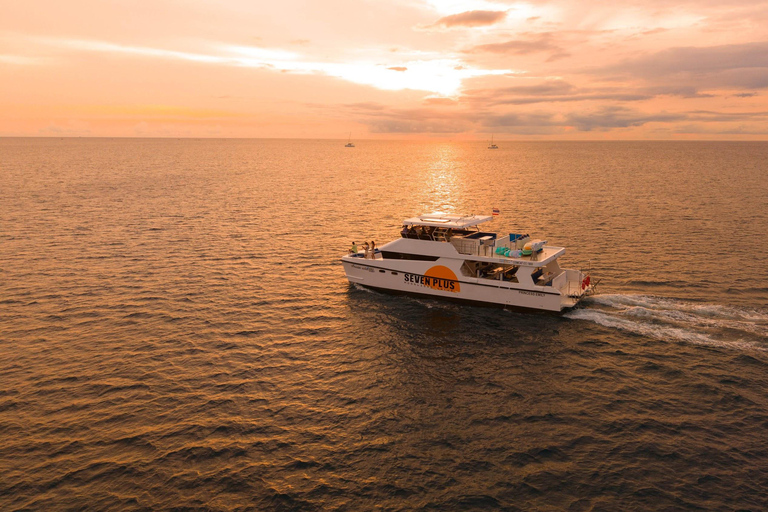 Phuket/Khao Lak: The Elite Similan Islands Yacht Experience Hotel pickup in Phuket