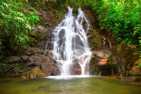 Khao Lak: Rafting, bagno con gli elefanti e tour del centro per le tartarughe marineTour privato