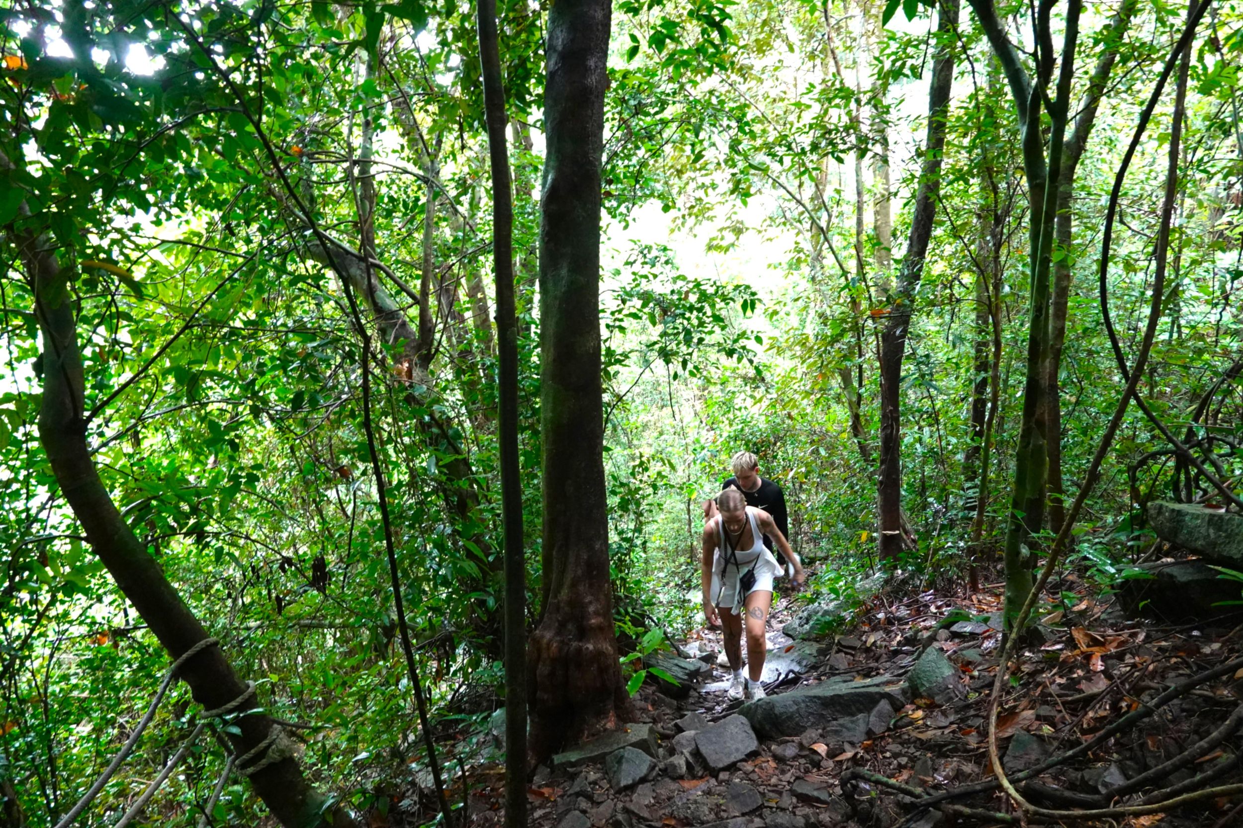 Von Pattaya aus: Rayong Abenteuer-Wanderung und Kajak-Tagestour