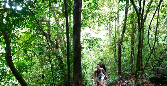 Von Pattaya aus: Rayong Abenteuer-Wanderung und Kajak-Tagestour