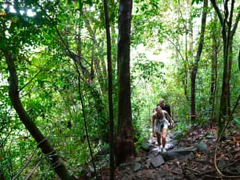 From Pattaya: Rayong Adventure Hike and Kayak Day Trip