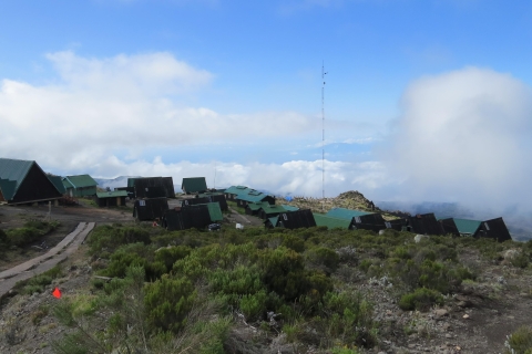Bedwing de Kilimanjaro: 6-daagse tocht over de Rongai Route