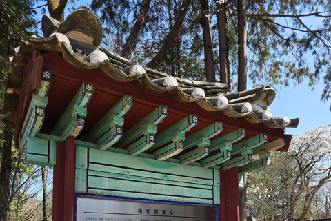 Seoul: Hallyu Nami Island Day Trip with romantic Train