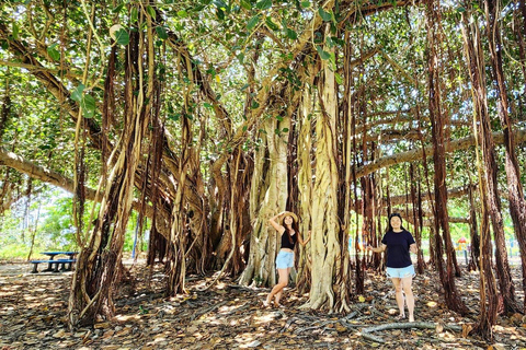 Bowen Discovery - La cima de las Whitsundays