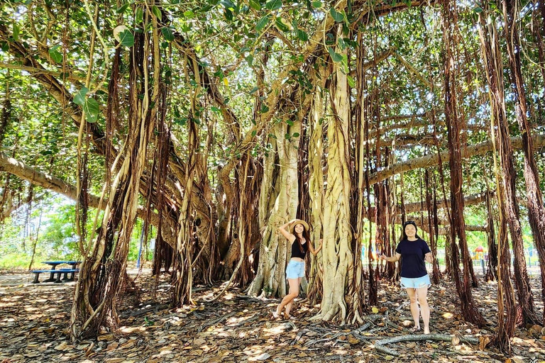 Bowen Discovery - Le sommet des Whitsundays