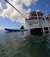 Vieques Power Boat Beach, Tartaruga marina, giocattoli d'acqua e snorkeling - Housity