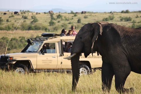 14-dniowe safari i wakacje na plaży Best of Kenya Wildlife Safari & Beach Holiday