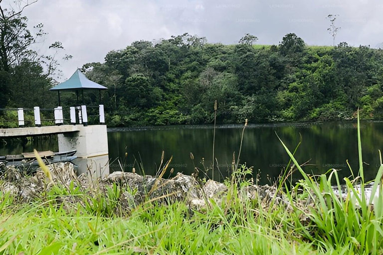 Kandy: Nuwara Eliya and Ambewela Train Station Tour