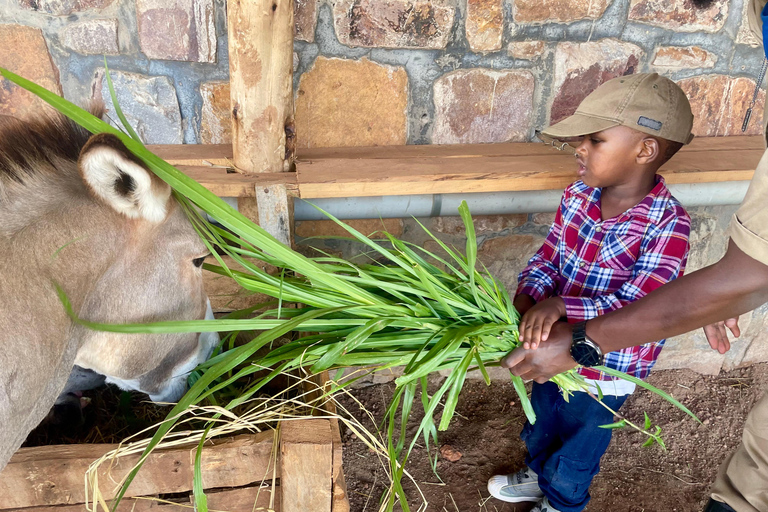 Kigali: La Fromagerie Farm Tour with Cheese Tasting